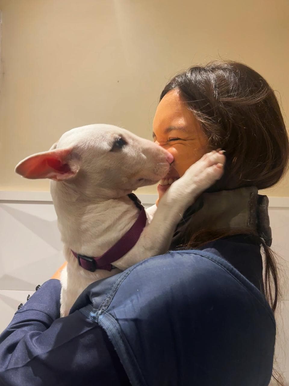 Isis Monsque abraçando um Bull Terrier durante atendimento veterinário domiciliar na zona sul do Rio de Janeiro