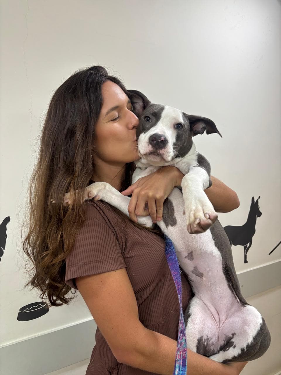 Isis Monsque, veterinária ultrassonografista, com filhote de Pit Bull durante atendimento domiciliar na zona sul do Rio de Janeiro